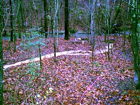 Mud-laden brown water flowing from the ridge toward the blue creek.