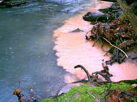 Where the Pine Ridge runoff enters the creek, there is a sharp boundary and striking contrast between the brown water from Pine Ridge and the clean blue water of the creek.